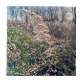 Herfstgelukzaligheid. Tegeltje (Voorkant)