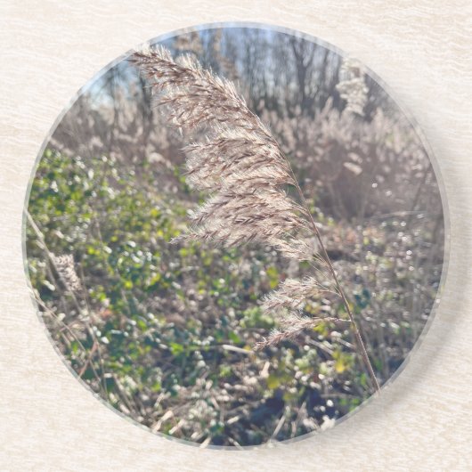 Herfstgelukzaligheid. Zandsteen Onderzetter (Voorkant)