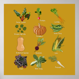 Herfstgroenten Oogst van herfstgroenten Poster