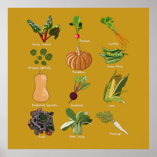 Herfstgroenten Oogst van herfstgroenten Poster (Voorkant)