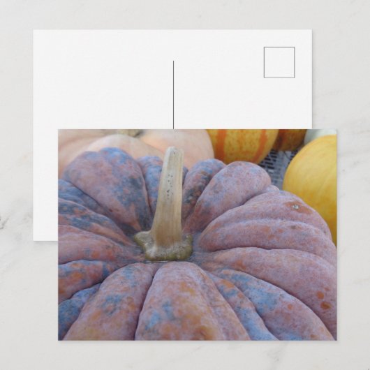 Herfstgroeten! Briefkaart (Voorkant / Achterkant)