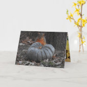 Herfstgroeten | Grappige eekhoorn eet pompoen Kaart (Gele Bloem)
