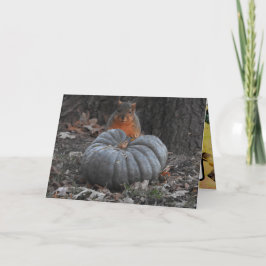 Herfstgroeten | Grappige eekhoorn eet pompoen Kaart