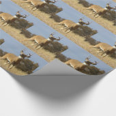 Herfsthert met witte staart cadeaupapier (Hoek)