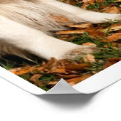 herfsthond poster (Hoek)