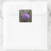Herfstige Paarse Gloed Vierkante Sticker (Tas)