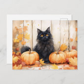 Herfstkat en pompoenen briefkaart (Voorkant / Achterkant)