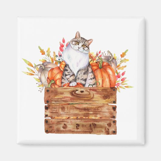 Herfstkat en pompoenen in doos magneet (Voorkant)