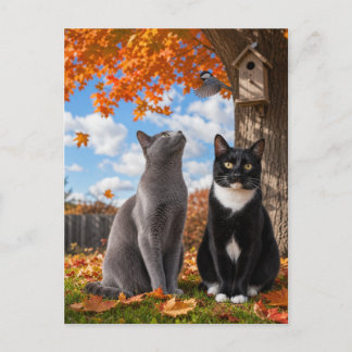 Herfstkatten zitten onder de esdoornboom briefkaart