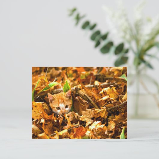 herfstkitten briefkaart (Staand voorkant)