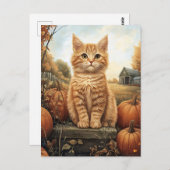 Herfstkitten met pompoenen briefkaart (Voorkant / Achterkant)