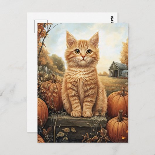 Herfstkitten met pompoenen briefkaart (Voorkant / Achterkant)