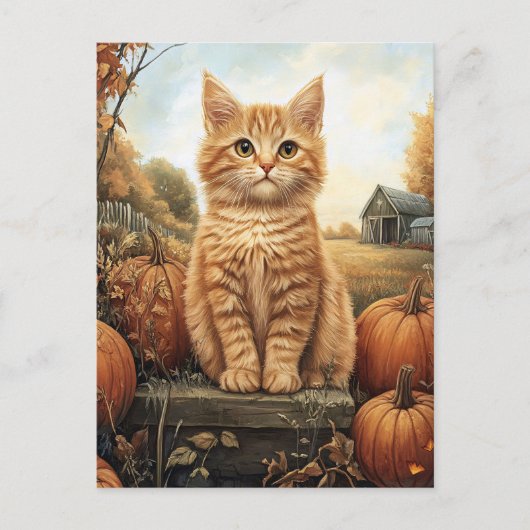 Herfstkitten met pompoenen briefkaart (Voorkant)