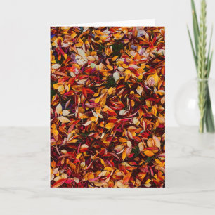 Herfstkleur blad Foto Groet Kaart