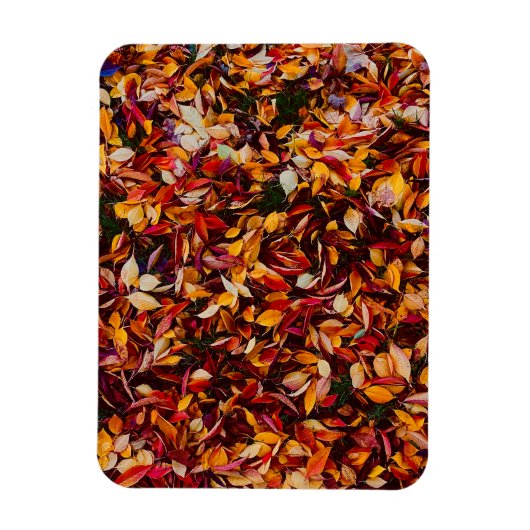 Herfstkleur Loof Bladeren Foto Magneet (Verticaal)