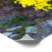 Herfstkleuren 1 Poster (Hoek)