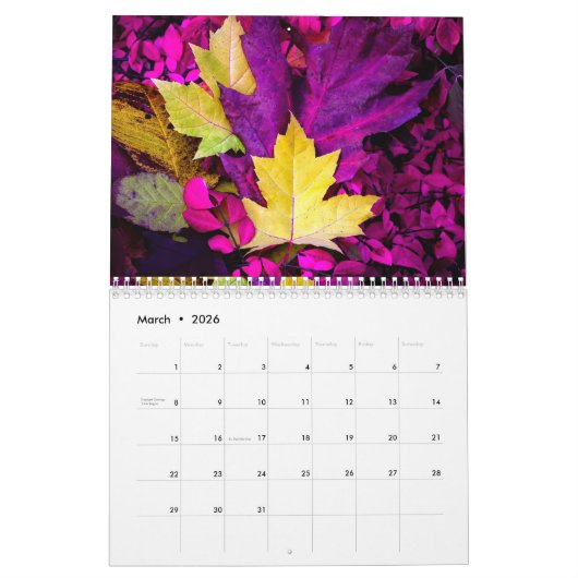 Herfstkleuren 2026 Kalender van Thomas Minutolo (Mar 2026)