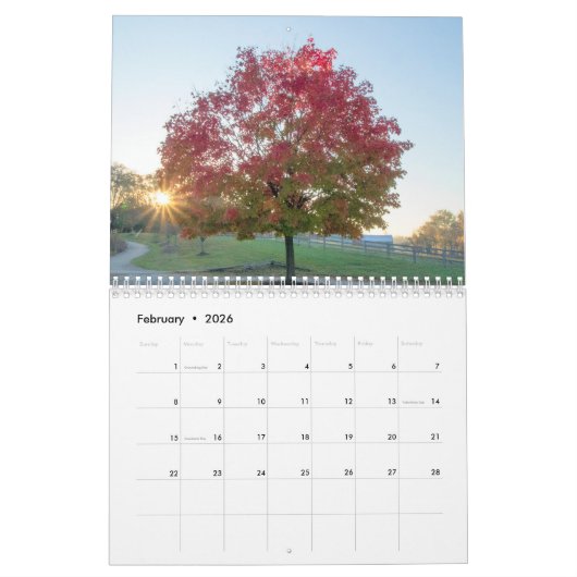 Herfstkleuren 2026 Kalender van Thomas Minutolo (Feb 2026)