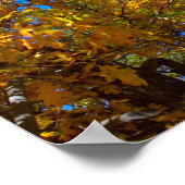 Herfstkleuren 3 Poster (Hoek)