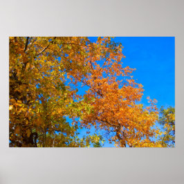 Herfstkleuren 3 Poster