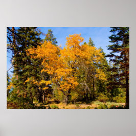 Herfstkleuren 5 Poster