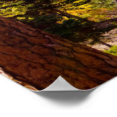 Herfstkleuren 6 Poster (Hoek)