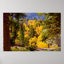 Herfstkleuren 6 Poster