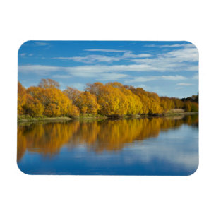 Herfstkleuren aan de Clutha Rivier Magneet