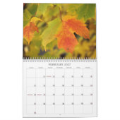Herfstkleuren Adirondack 12 Maanden Kalender (Feb 2027)