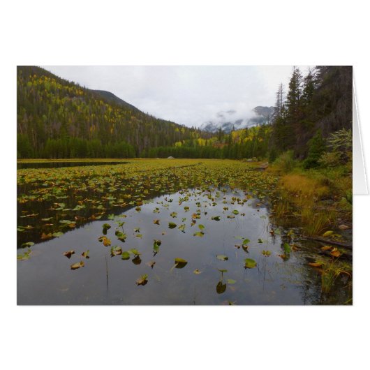 Herfstkleuren bij Cub Lake (Voorkant Horizontaal)