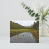 Herfstkleuren bij Cub Lake Briefkaart (Staand voorkant)
