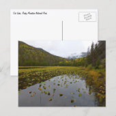 Herfstkleuren bij Cub Lake Briefkaart (Voorkant / Achterkant)