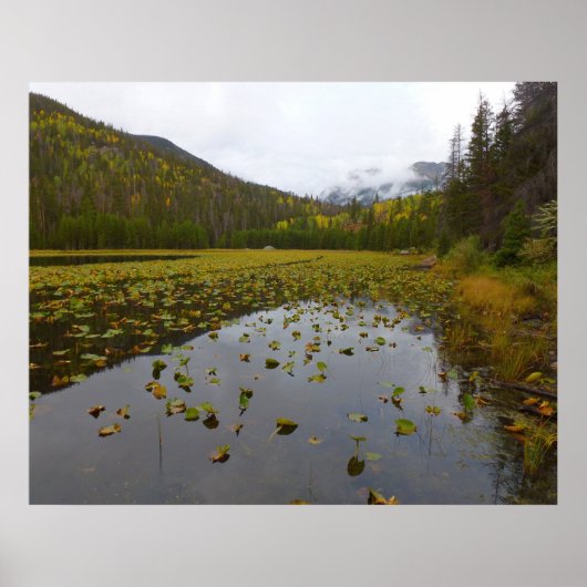 Herfstkleuren bij Cub Lake Poster (Voorkant)