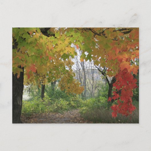 Herfstkleuren Briefkaart (Voorkant)