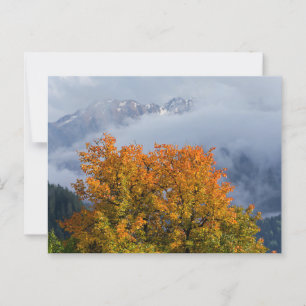 Herfstkleuren en bergen ansichtkaart briefkaart