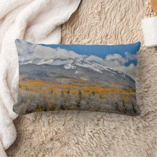 Herfstkleuren Espen &    Rocky Mountains, Colorado Kussen