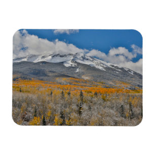 Herfstkleuren Espen & Rocky Mountains, Colorado Magneet