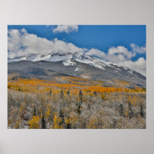 Herfstkleuren Espen & Rocky Mountains, Colorado Poster