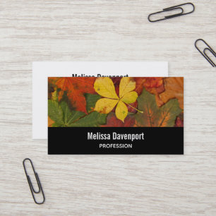 Herfstkleuren Herfstbladeren Foto Visitekaartje
