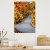 Herfstkleuren in Brown County State Park Poster (Keuken)