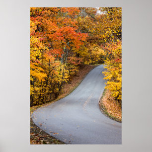 Herfstkleuren in Brown County State Park Poster