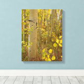 Herfstkleuren in de Colorado-aspes Canvas Afdruk (Insitu (Houten vloer))