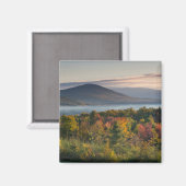 Herfstkleuren in de White Mountains Magneet (Voorkant / Achterkant)