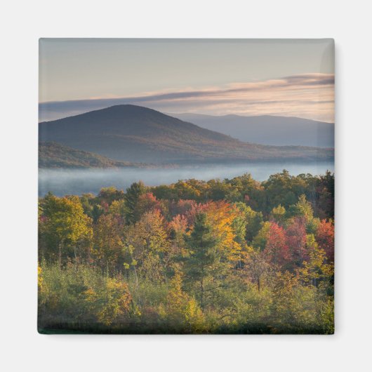 Herfstkleuren in de White Mountains Magneet (Voorkant)
