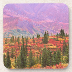 Herfstkleuren in Denali National Park Onderzetter