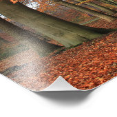 Herfstkleuren in het bossen landschap foto afdruk (Hoek)