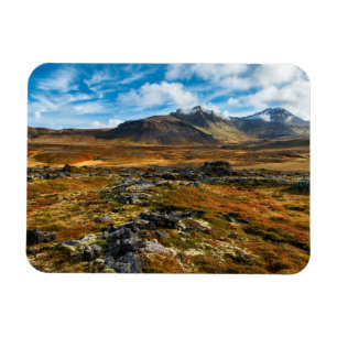 Herfstkleuren in het landschap magneet