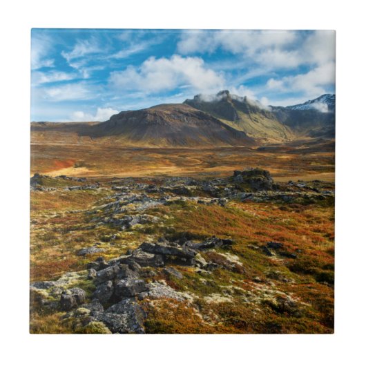 Herfstkleuren in het landschap tegeltje (Voorkant)
