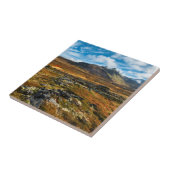 Herfstkleuren in het landschap tegeltje (Zijkant)