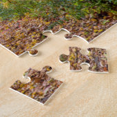 Herfstkleuren in Independence State Park Legpuzzel (Zijkant)